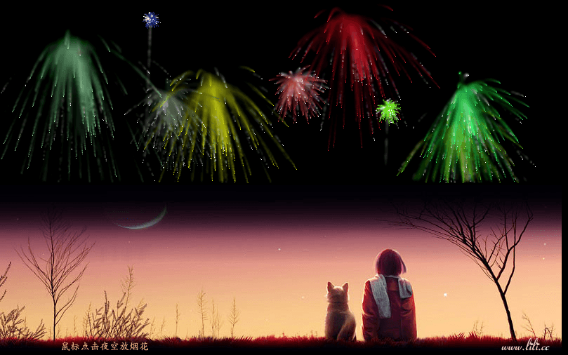 秘密花园 - 浪漫烟花